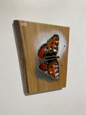 Butterfly 2024 Stencil Art on Elm, limited edition artwork - 14 x 18cm