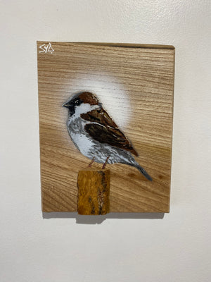 Sparrow on Elm - New for 2025 - Limited Edition No. 23 - Signed artwork size 14 x 19cm