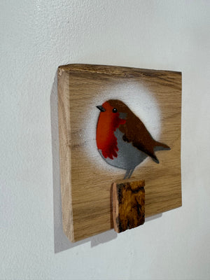 Robin 2025 on rare Elm with beautiful grain and 3D perch - 13 x 15cm