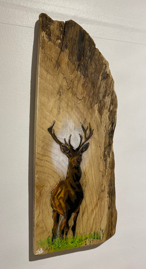 Solid Stag artwork design on Elm wood - 14 x 30cm Signed Artist's Choice