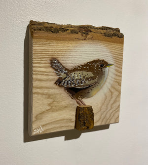 Wren 2023 on barky Ash wood from the UK - signed limited edition artwork - 15 x 17cm