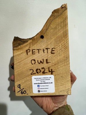 Little Owl -  New for 2024 - Unique Elm Wood size 13 x 21cm