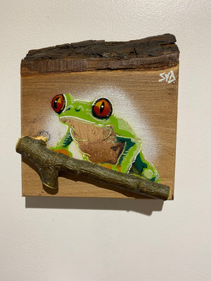 Tree Frog Brand New Artwork fro 2025 on Elm - Number 19 - 14 x 17cm with barky top edge