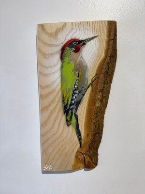 Woodpecker ‘Green’ - New for 2025 on barky Ash wood from signed limited edition - 14 x 26cm