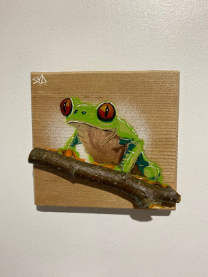 Tree Frog Brand New Artwork from 2025 on Oak - Number 11 - 14 x 14cm