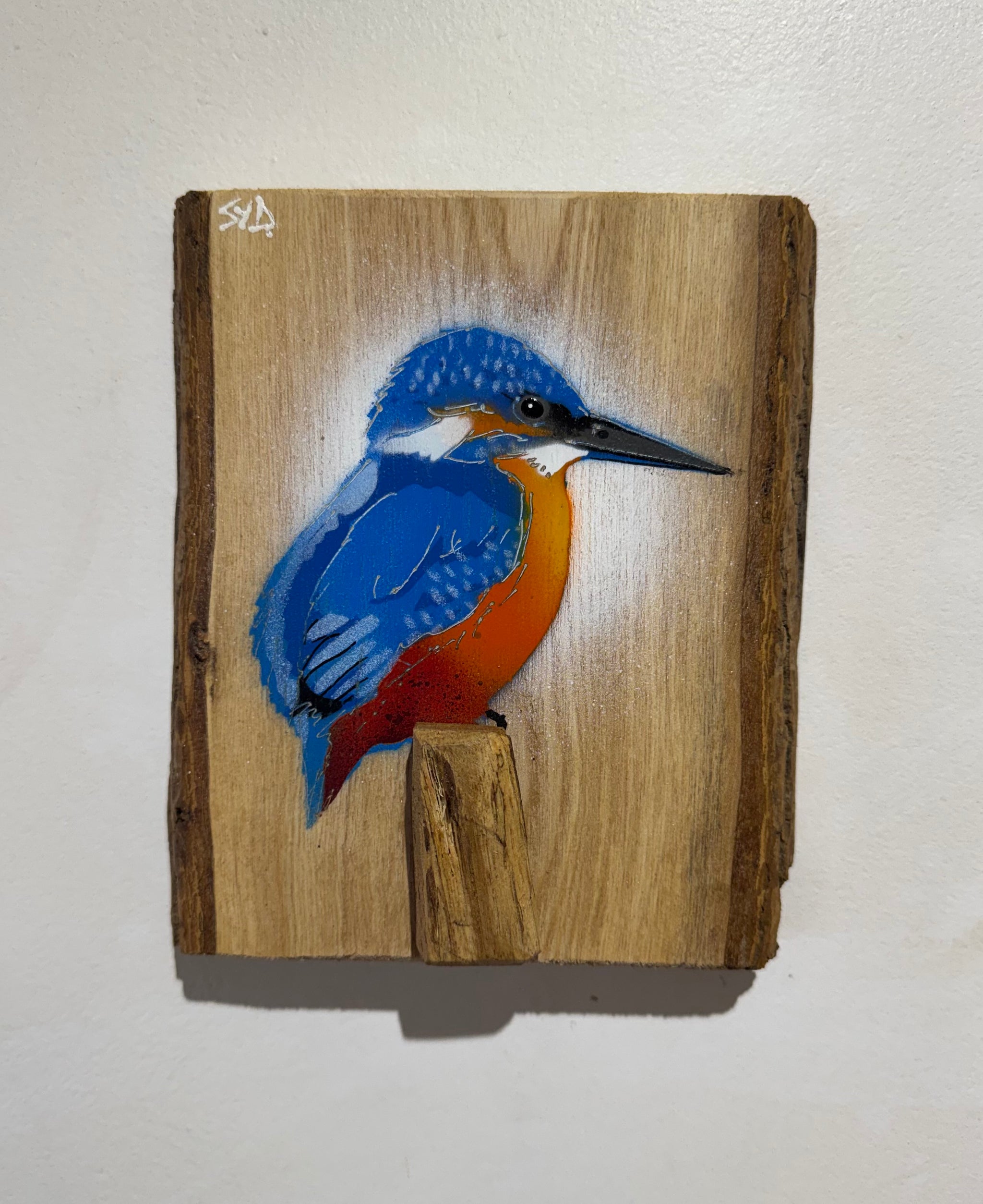 Kingfisher ‘Little Splash’ New for 2026 on Ash wood - Number 2 - Signed Limited Edition Artwork size 15 x 17cm