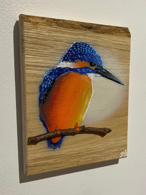 Kingfisher ‘Fisherman’ on Oak wood - Signed artwork size 14 x 19cm - Number 2 in edition