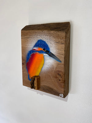 Kingfisher ‘Fisherman’ on Elm wood - Signed Limited Edition artwork size 15 x 21cm