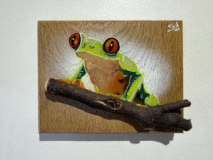 Tree Frog Brand New Artwork for 2025 on Oak - Number 32 - 15 x 13cm