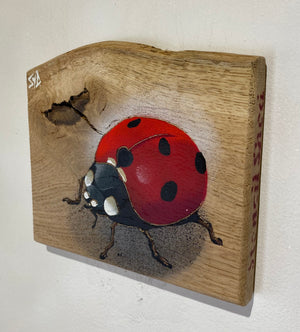 Ladybird ‘Speedy’ 2024 - Number 3 in edition Elm wood from the UK - 17 x 14cm