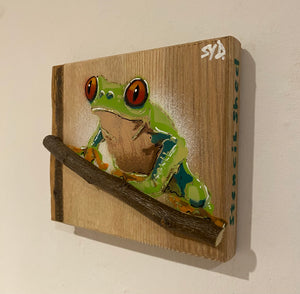 Tree Frog Brand New Artwork fro 2025 on Ash - Number 4 - 14 x 12cm with barky edge