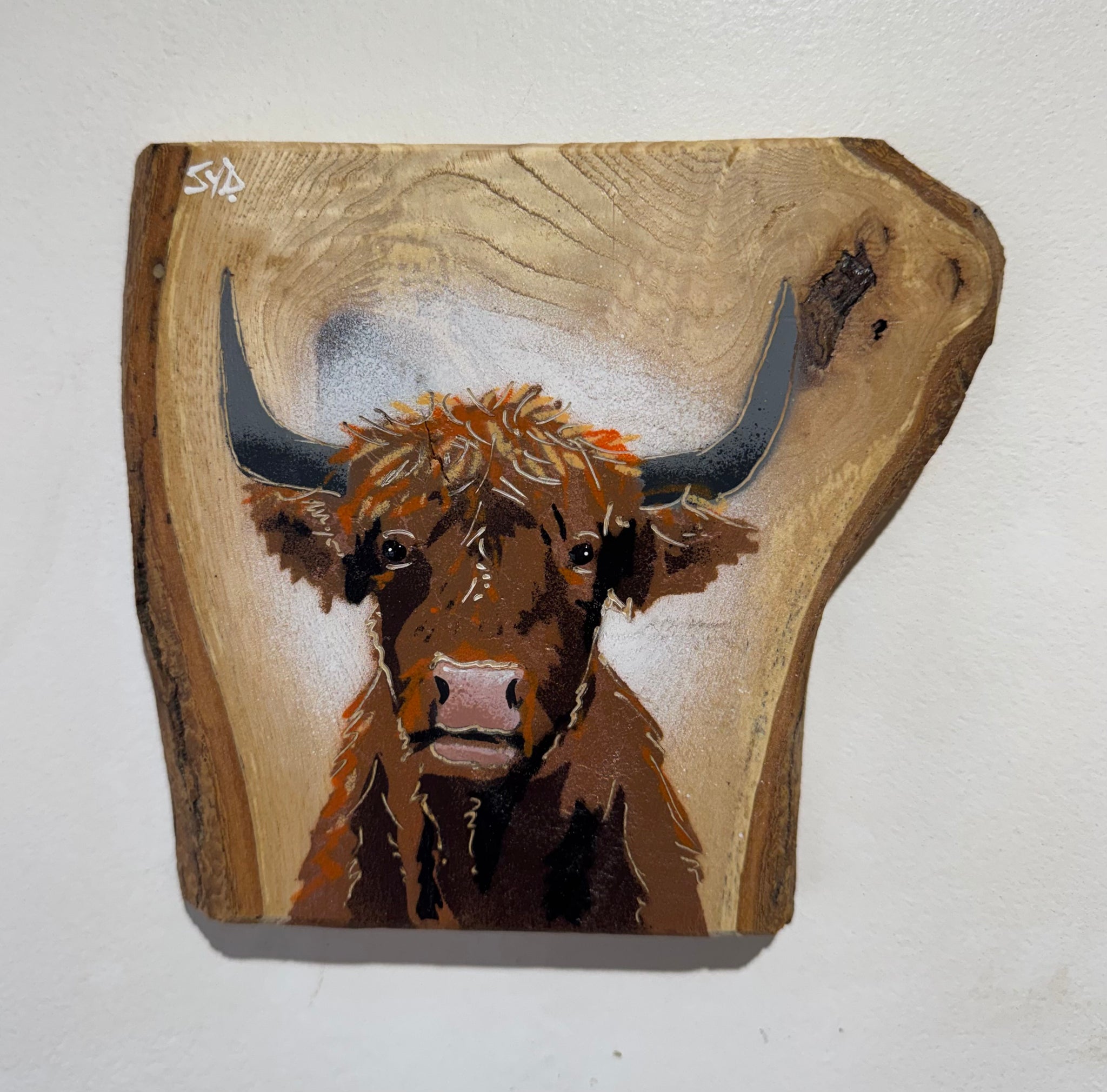 Highland Cow 2026 Barky Ash Wood - Number 1  - Signed Limited Edition Artwork - size 18 x 16cm