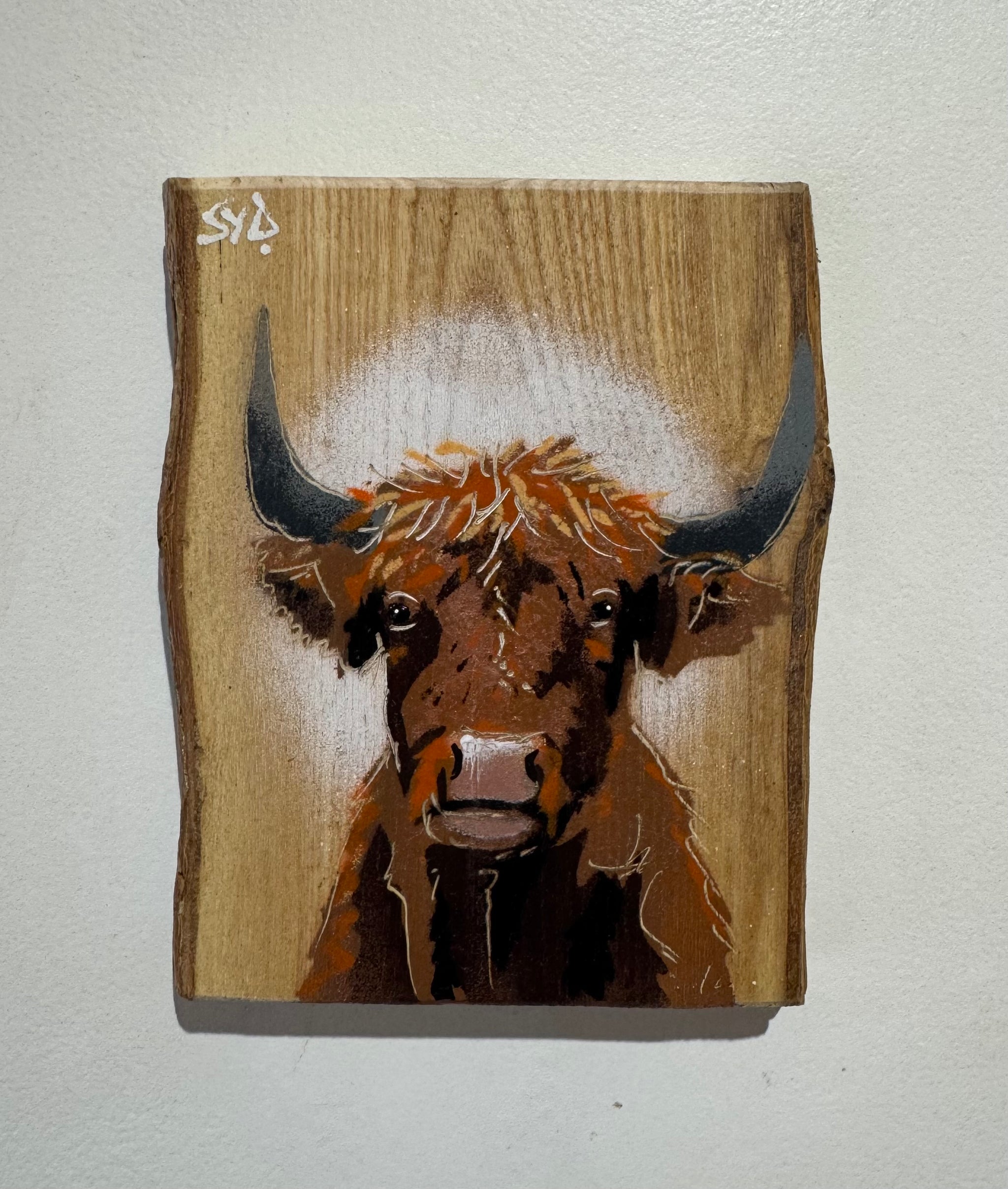 Highland Cow 2026 Barky Ash Wood - Signed Limited Edition Artwork - size 12 x 16cm - Number 56