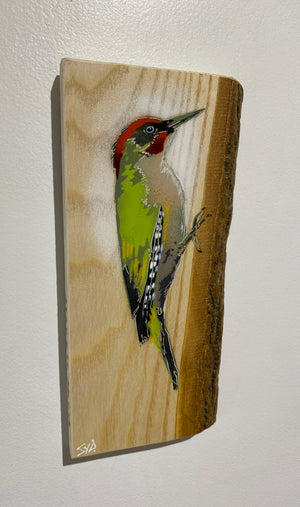Woodpecker ‘Green’ - New for 2025 on barky Ash wood from signed limited edition - 12 x 26cm