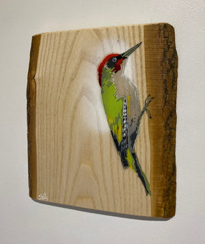 Woodpecker ‘Green’ - New for 2025 on barky Ash wood from signed limited edition - 22 x 25cm