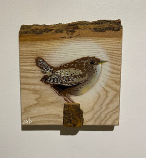 Wren 2023 on barky Ash wood from the UK - signed limited edition artwork - 15 x 17cm