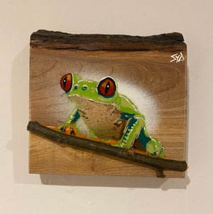 Tree Frog Brand New Artwork fro 2025 on Elm - Number 1 - 15 x 15cm with barky top edge