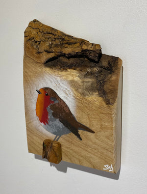 Robin 2025 on English Ash with beautiful bark top edge and 3D stump - 13 x 18cm - New for Mother's Day