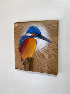 Kingfisher ‘Fisherman’ on Elm wood - Signed Limited Edition artwork size 16 x 18cm