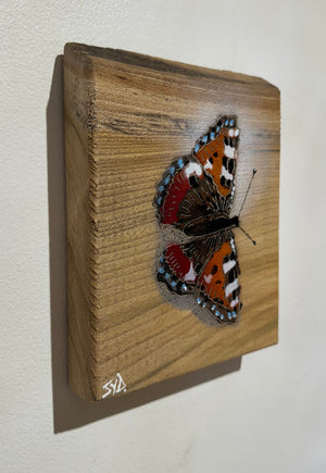 Butterfly 2024 Stencil Art on Elm Number 2 in edition - 14 x 18cm