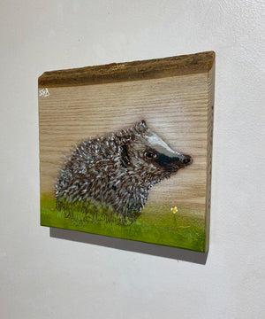 Hedgehog on barky Ash - New for 2024 - 18 x 22cm - number 53