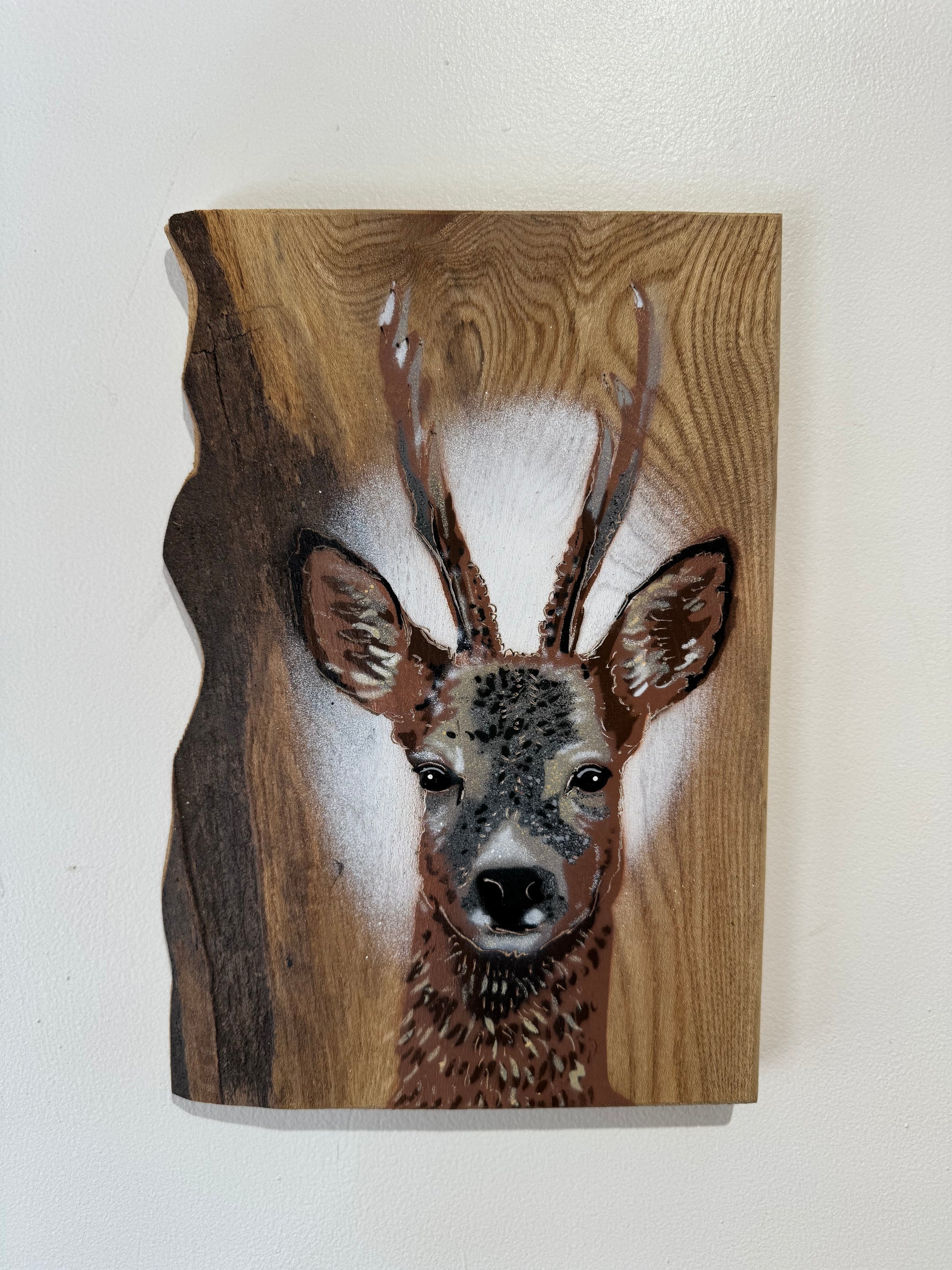 Roe Deer - on rare Elm wood - size 20 x 28cm - Number 16 from signed limited edition