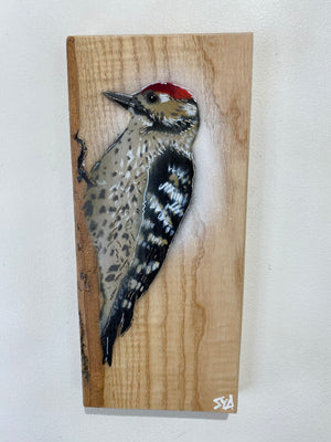 Woodpecker ‘Woody ’ 2023 on Ash wood, sustainably sourced from Wiltshire - signed limited edition (Copy)
