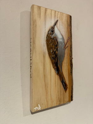 Treecreeper on barky ash wood - 13cm by 24cm