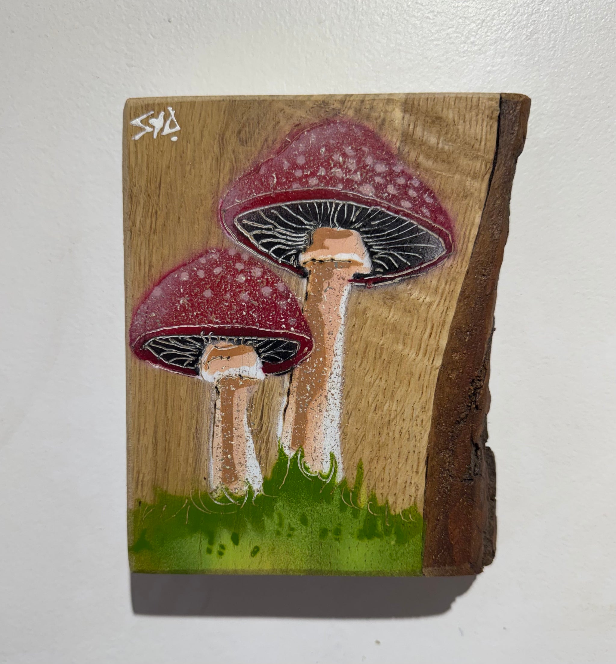 Mushrooms on chunky Oak Wood with barky texture - 12 x 15cm