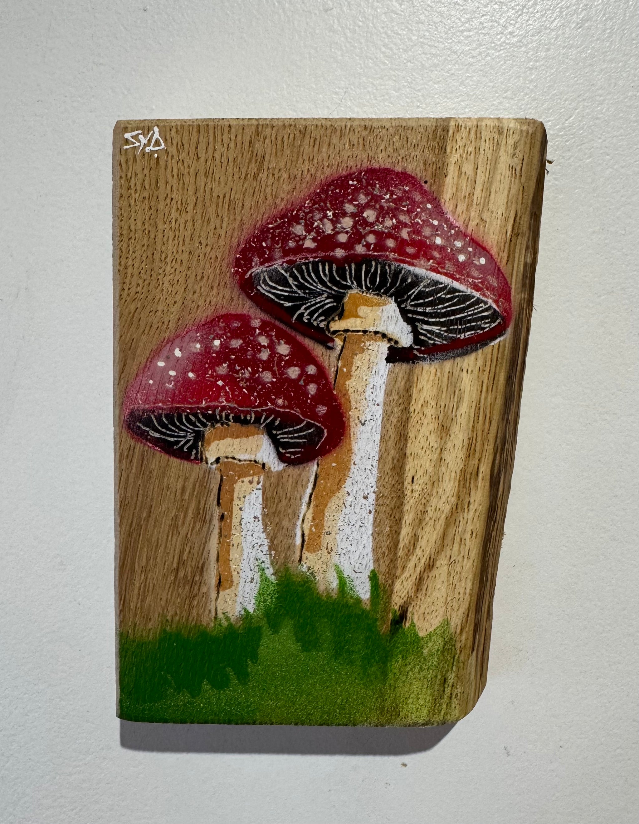 Mushrooms - Oak Wood - with added texture - 14 x 16cm