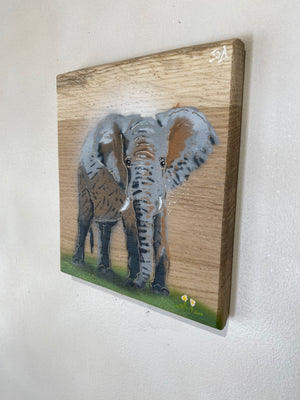 Elephant 2022 - Signed limited edition artwork on Ash wood - size 16 x 21cm approx