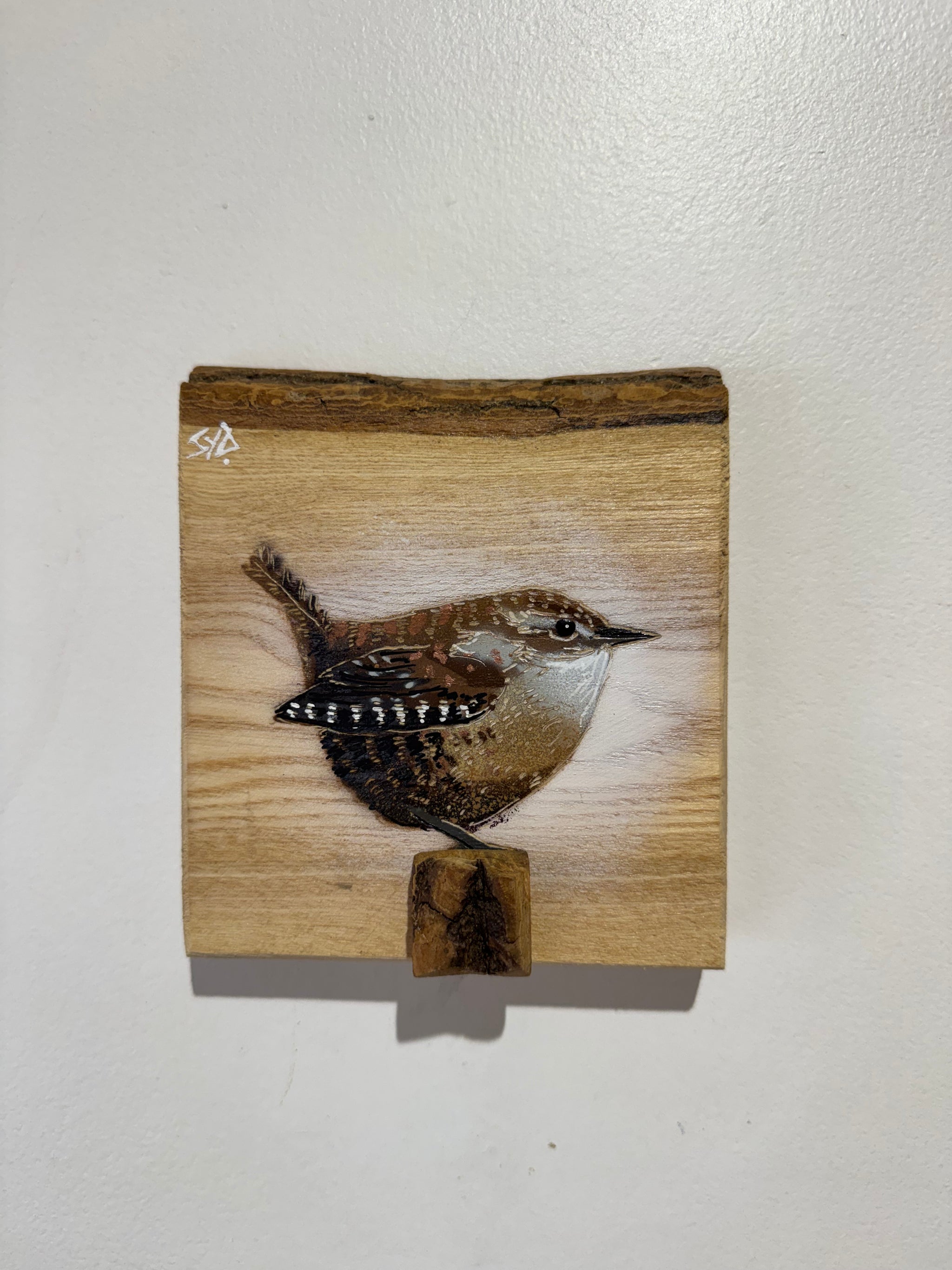 Wren 2026 - New for this summer season on barky Ash wood from the UK - No. 19 from signed limited edition artwork - 12 x 14cm