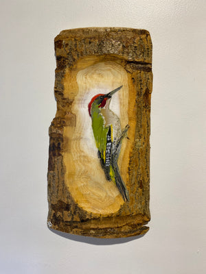 Woodpecker ‘Green’ - Number 1 - New for 2025 on barky Ash wood from signed limited edition - 24 x 26cm