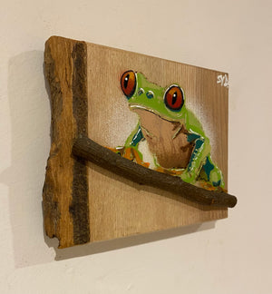 Tree Frog Brand New Artwork fro 2025 on Ash - Number 4 - 14 x 12cm with barky edge