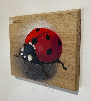 Ladybird ‘Speedy’ 2024 - On Oak wood from the UK - 14 x 13cm