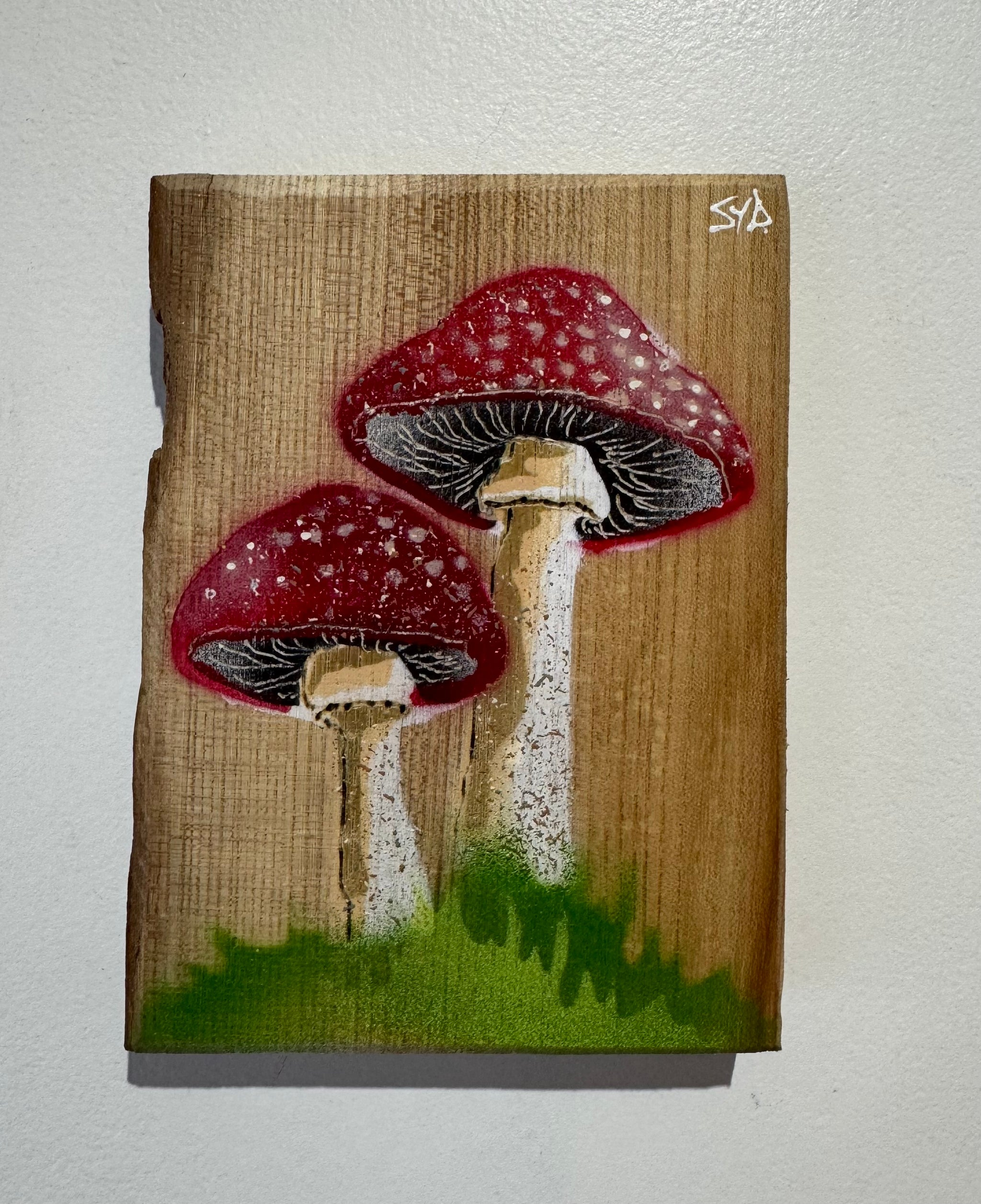 Mushrooms - Elm Wood - with added texture - 12 x 16cm