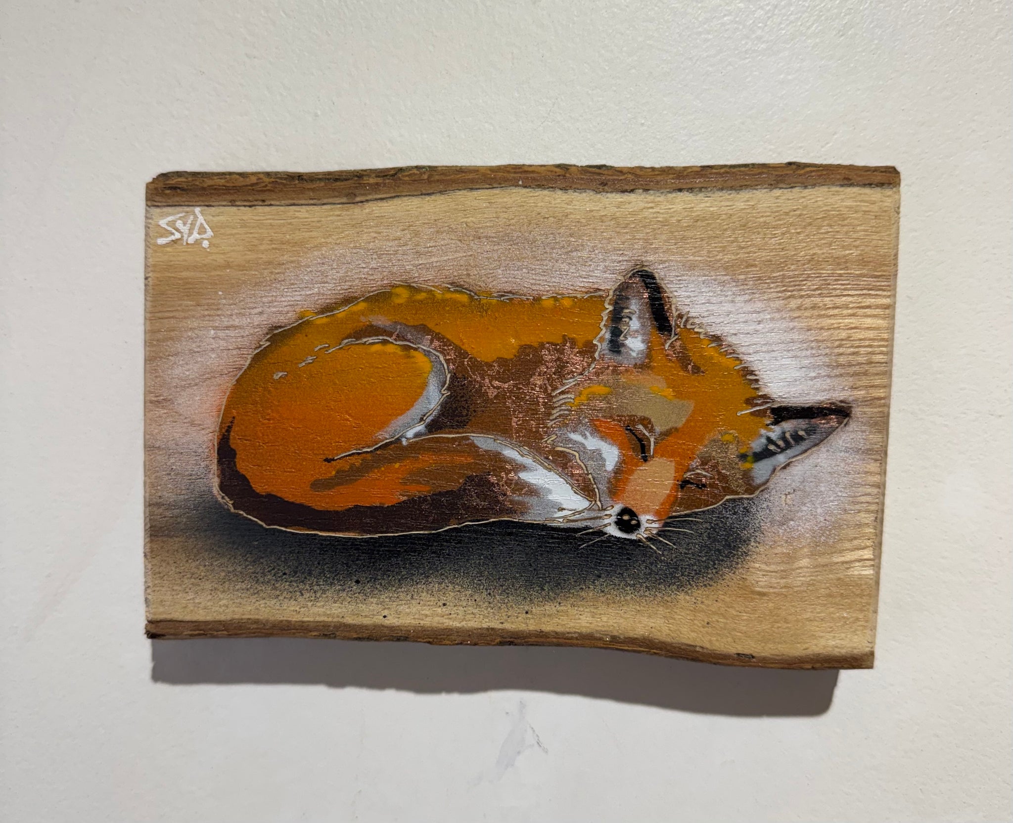 Snoozey Fox - Best Seller in 2026 on barky Ash wood - Number 94 - Size 17 x 11cm