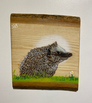 Hedgehog on double barky Ash - New for 2024 - 18 x 22cm - number 35