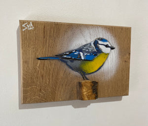 Blue Tit  'Spring Time' on Oak wood from the UK size 18 x 12cm - Signed limited edition artwork