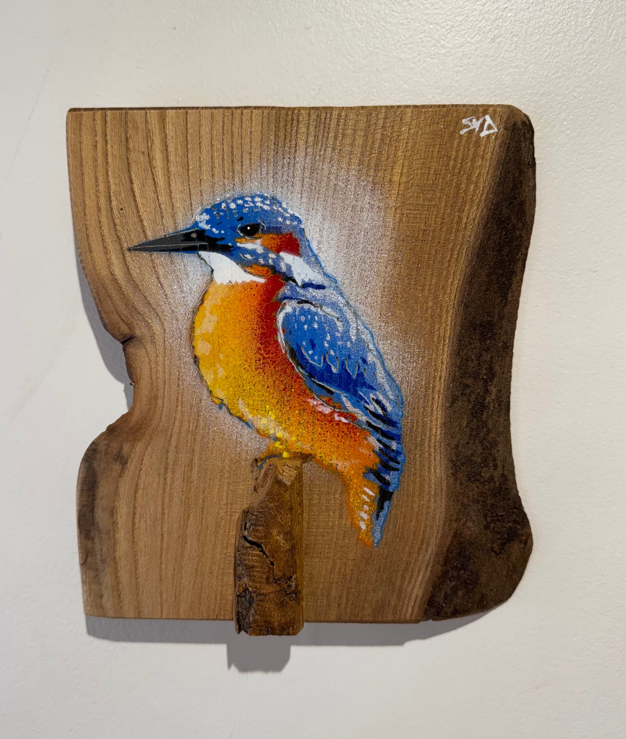Kingfisher ‘Gone Fishing’ 2025 on Elm wood - Number 70 of Signed Limited Edition artwork size 19 x 20cm