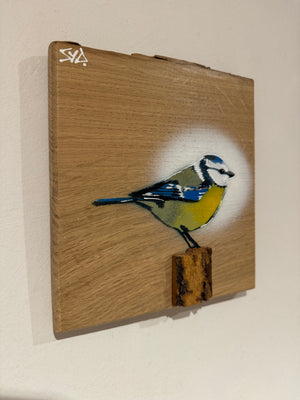 Blue Tit  'Spring Time' on Oak from the UK size 18 x 19cm - Signed limited edition artwork , number 56