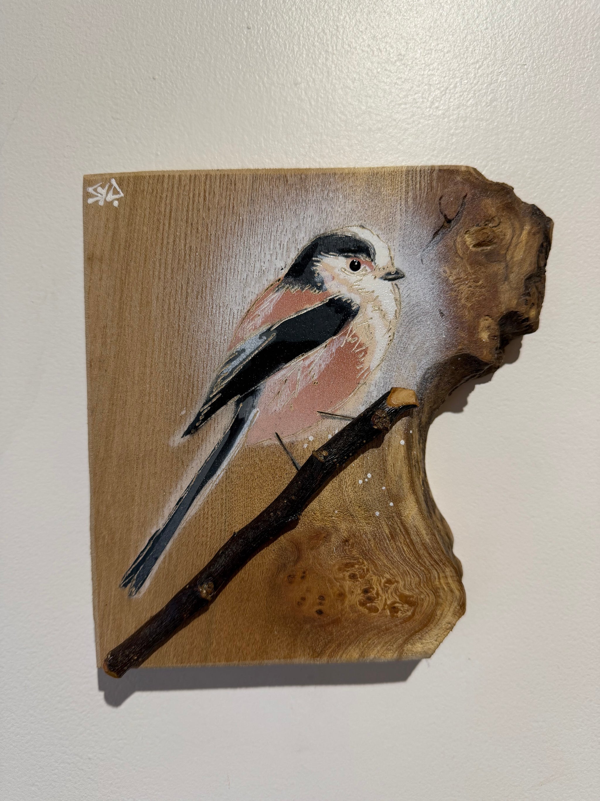 Long Tailed Tit 2026 on rustic Elm Wood - 17 x 18cm - Handmade Stencil Art with 3D branch