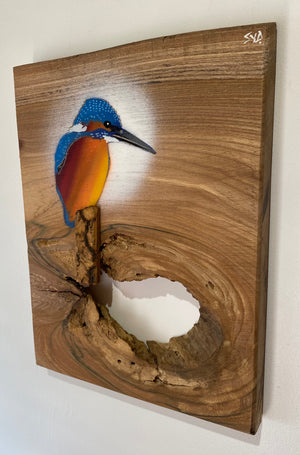 Kingfisher ‘Fisherman’ on fantastic piece of Elm wood - Signed unique artwork size 26 x 35cm - Number 50 in edition