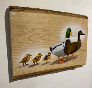 Family Quackers on Ash wood - 50 x 36cm - Signed Limited edition artwork