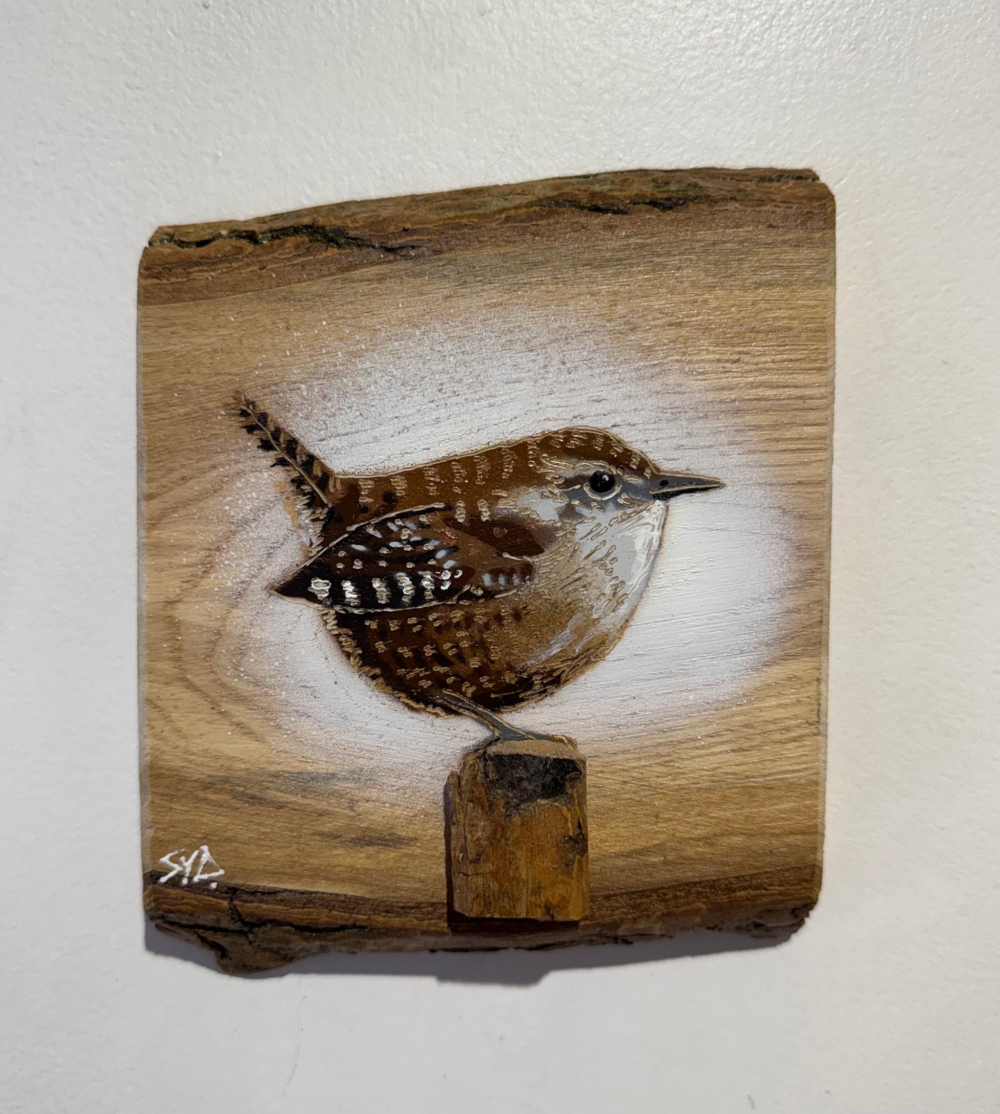 Wren 2026 - New for this summer season on barky Ash wood from the UK - No. 2 from signed limited edition artwork - 13 x 16