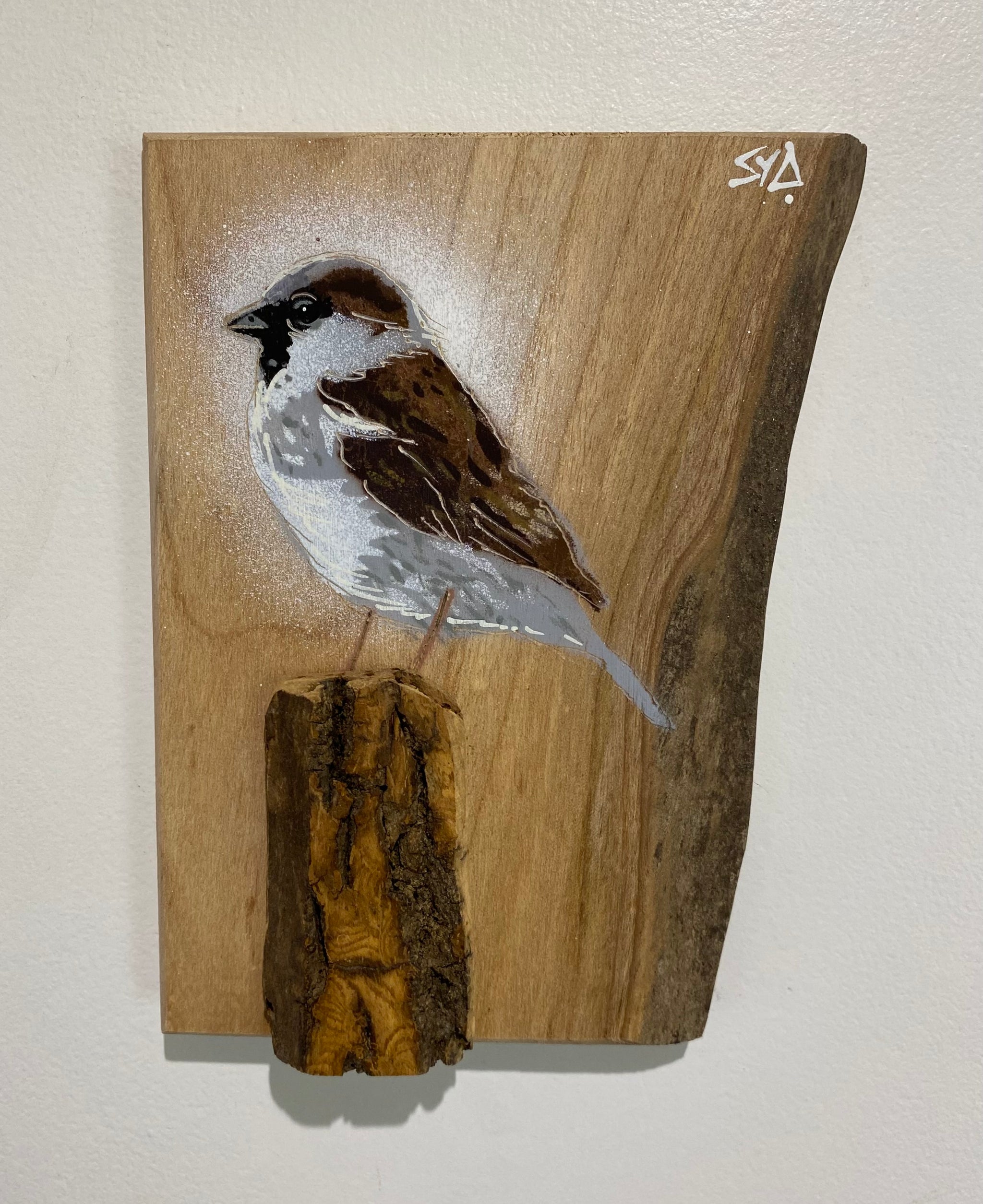 Sparrow on Elm - New for 2025 - Limited Edition No.43 - Signed artwork size 14 x 19cm