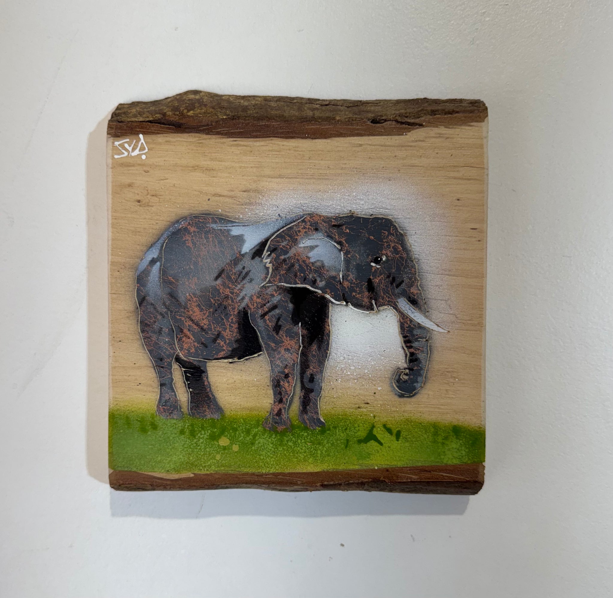 Elephant 'Trunky' on Ash wood - 16 x 18cm - Limited Edition Artwork
