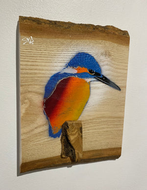 Kingfisher ‘Fisherman’ on ash barky wood - Signed artwork size 17 x 22cm