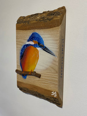 Kingfisher ‘Fisherman’ on ash barky wood - Number 1 in edition - Signed artwork size 15 x 23cm -