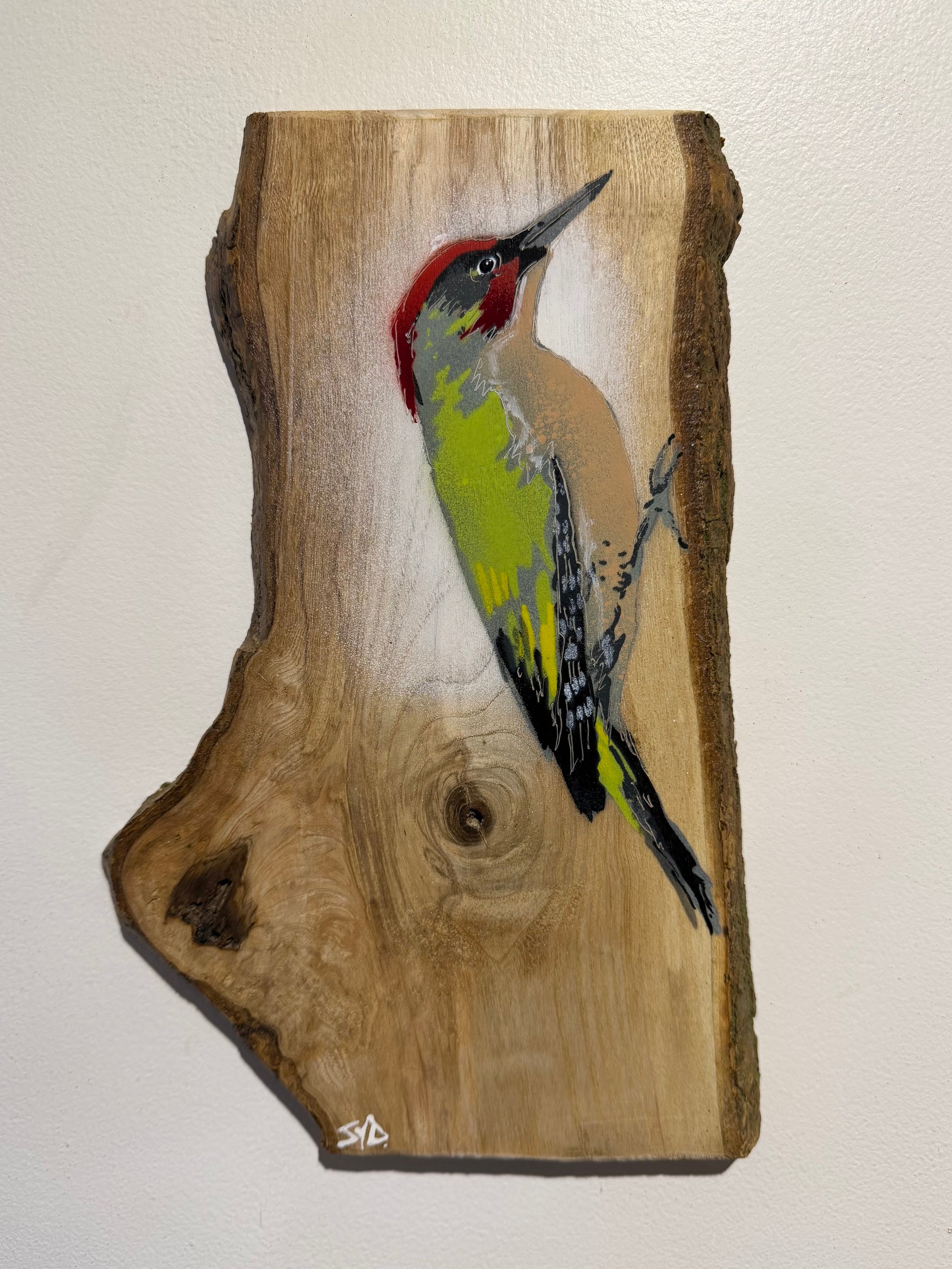 Woodpecker ‘Green’ 2025 on barky Ash wood from signed limited edition - 17 x 26cm